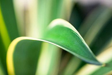 虚幻引擎5.4全新功能曝光 为游戏开发注入强大动力